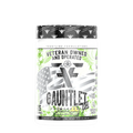 Gauntlet