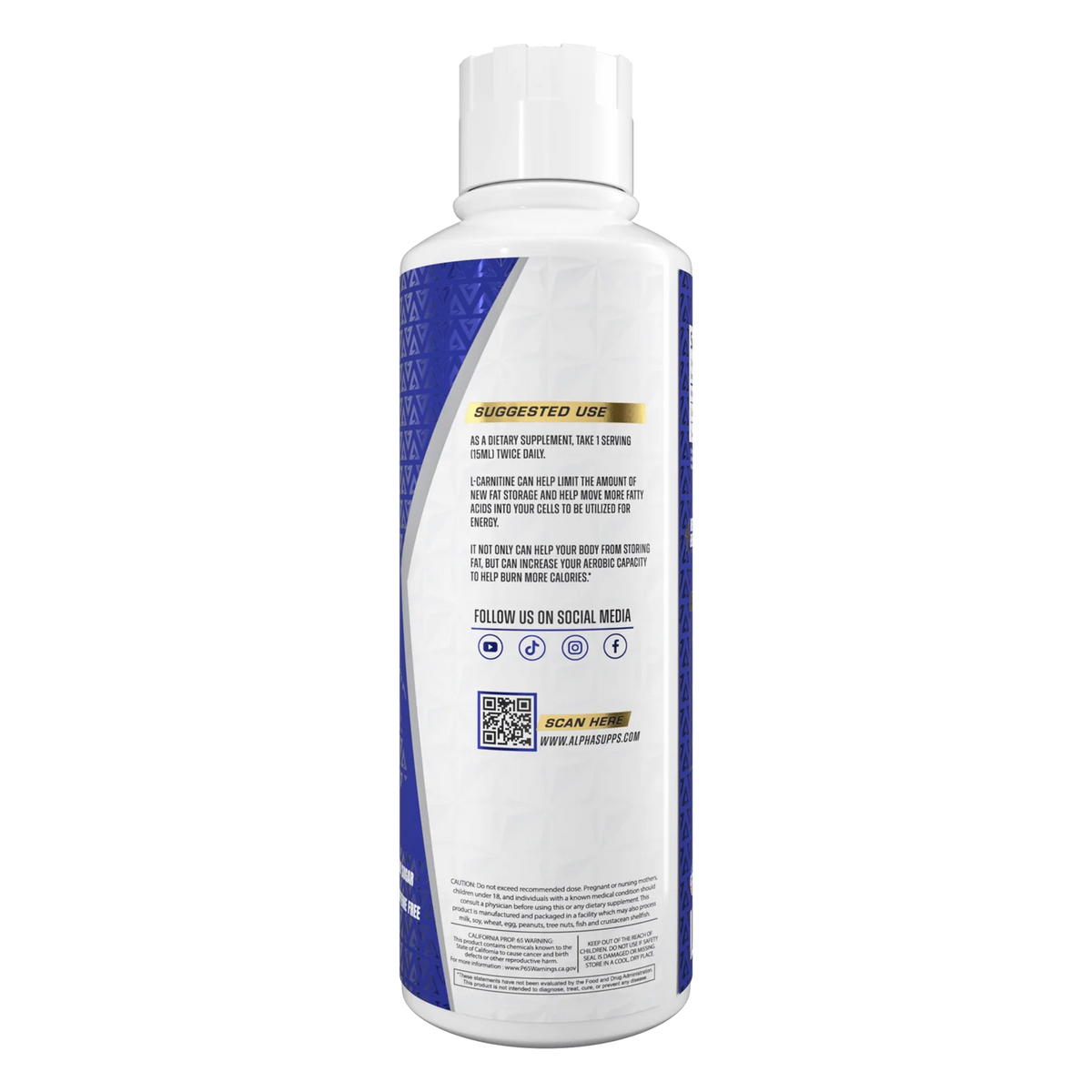 L Carnitine